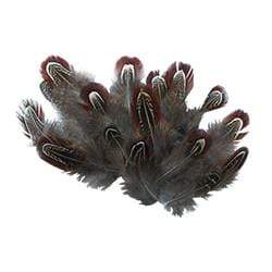 AussieSuperStore Art & Craft Essentials Craft Feathers Neck Plumage Craft Feathers Neck Plumage | Artificial Feathers 9331468049012 VCF33
